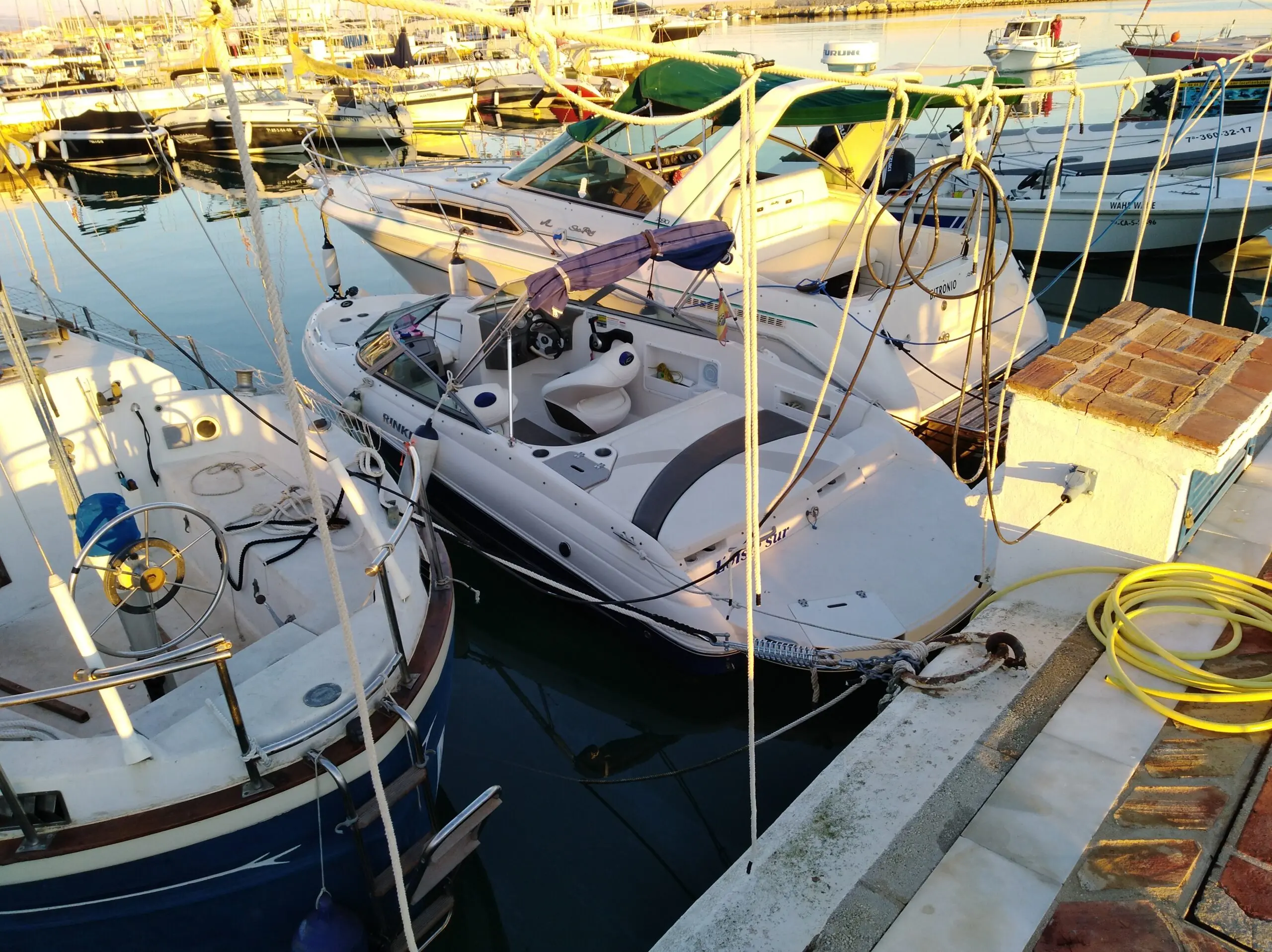 Alquiler de barco en Puerto deportivo de Estepona - Sea ray Rinker captiva 192 image 4