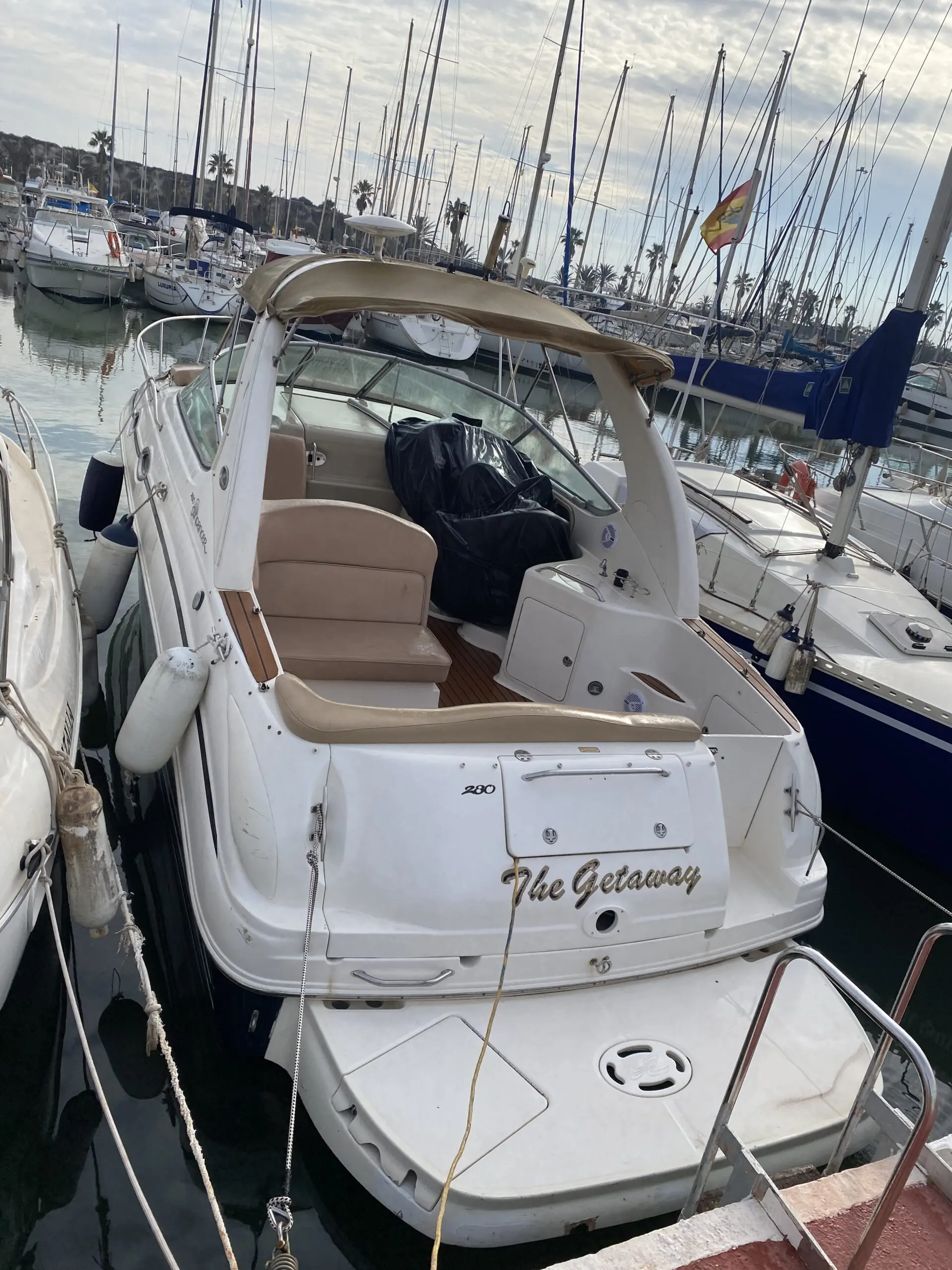 Alquiler de barco en Disfruta de un día en la isla de Tabarca o costa Alicantina. - SeaRay Sindancer 280 image 1