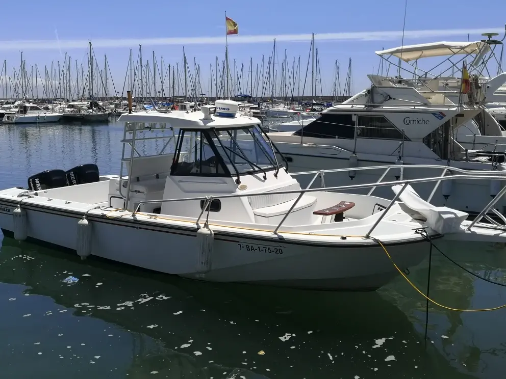 Alquiler de barco en Especialista en big game - Boston Whaler Offshore 27 image 5