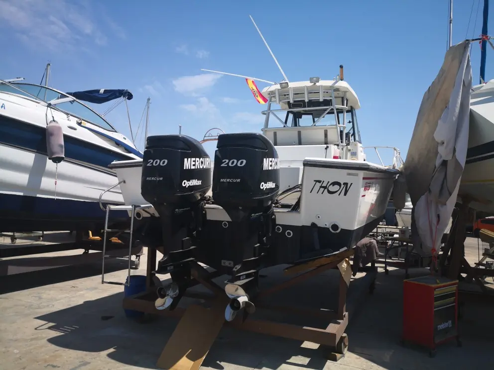 Alquiler de barco en Especialista en big game - Boston Whaler Offshore 27 image 4