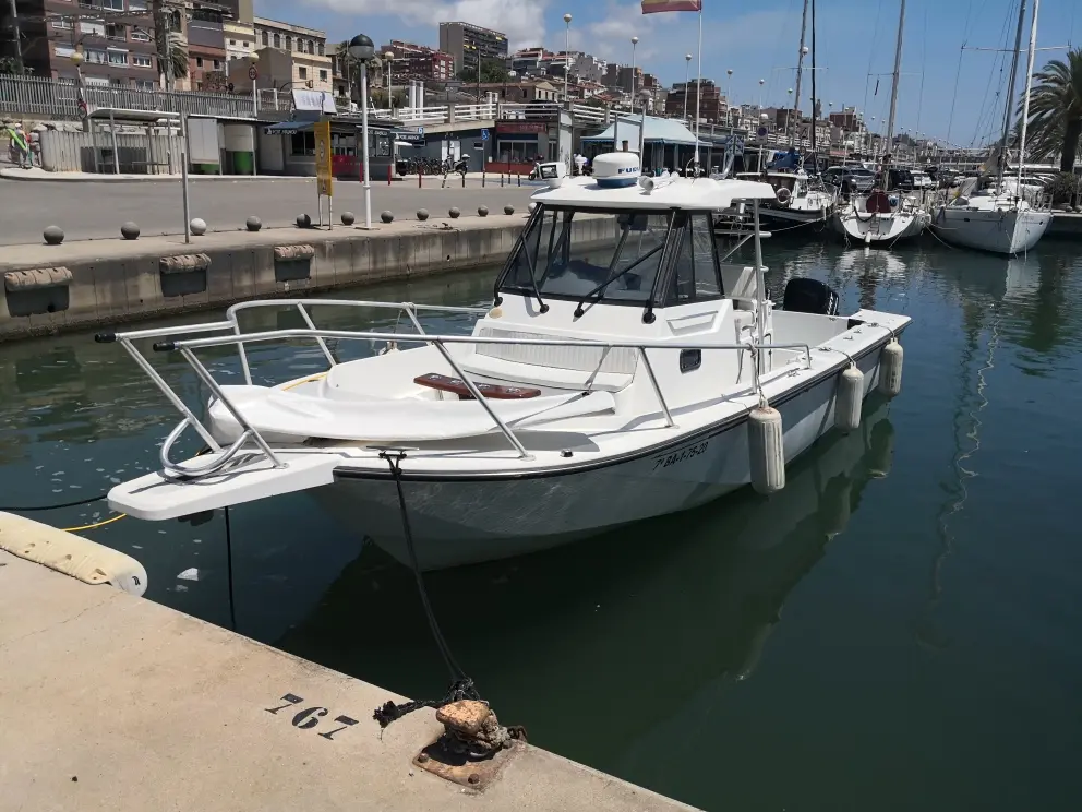 Alquiler de barco en Especialista en big game - Boston Whaler Offshore 27 image 1