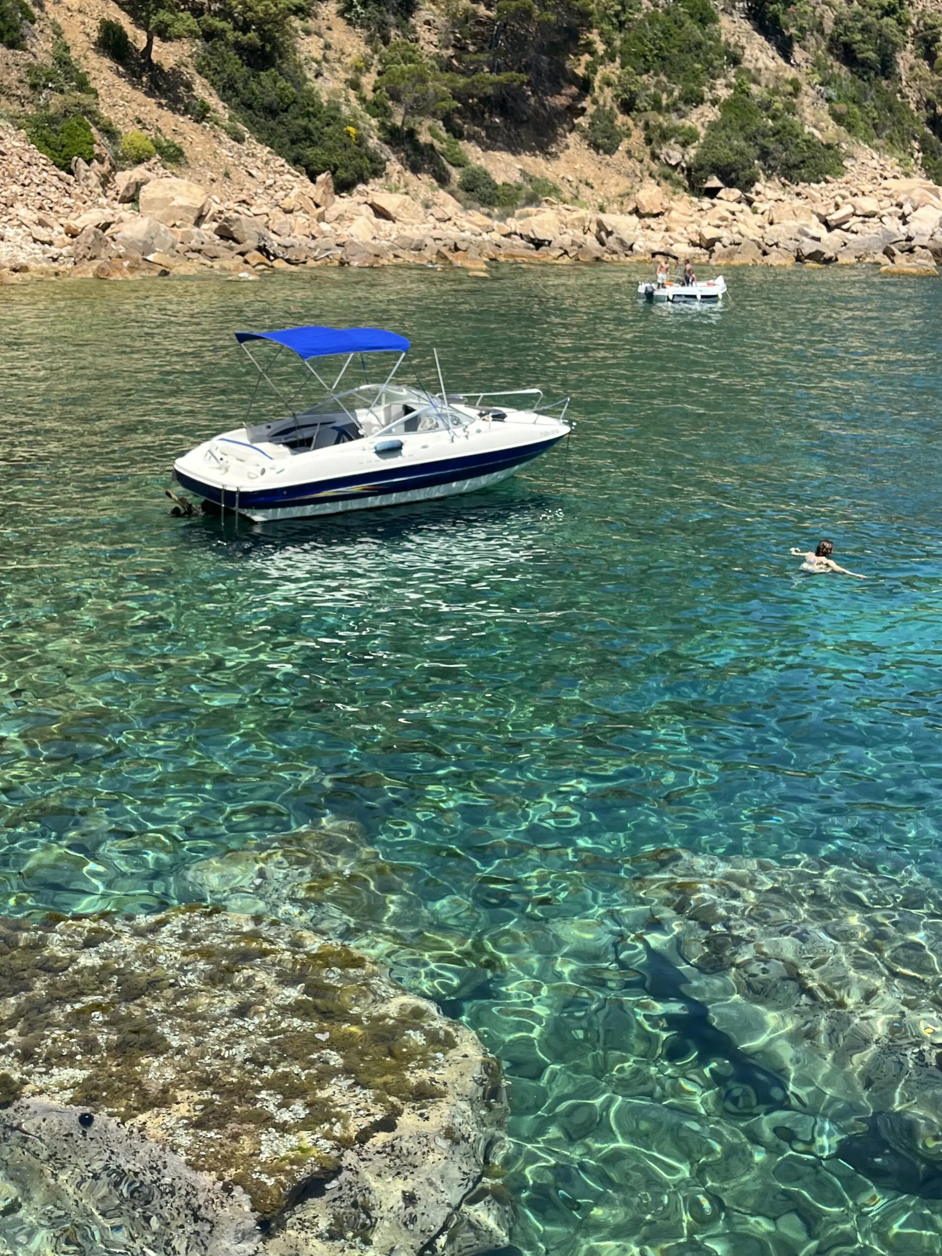 Alquiler de barco en Lancha de 220CV para disfrutar las calas de la Costa Brava - Bayliner 212 Cuddy image 1