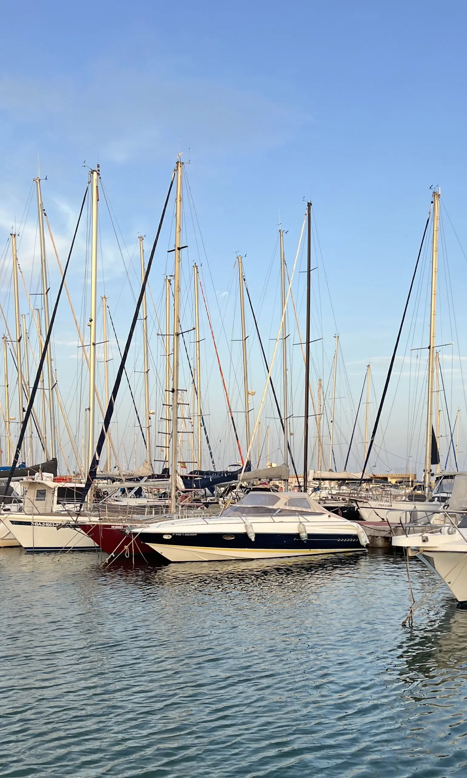 Alquiler de barco en PUERTO MASNOU - SUNSEEKER HAWK 31 image 3